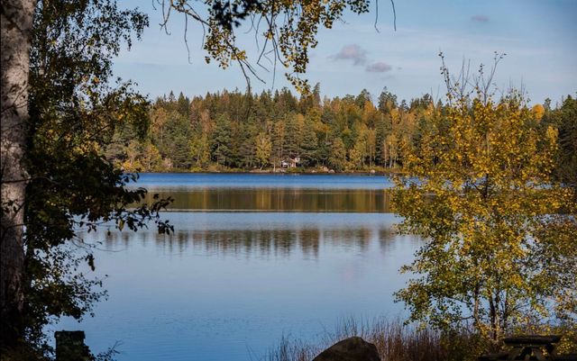 Avslappnad plats vid vattnet för läsning och vila