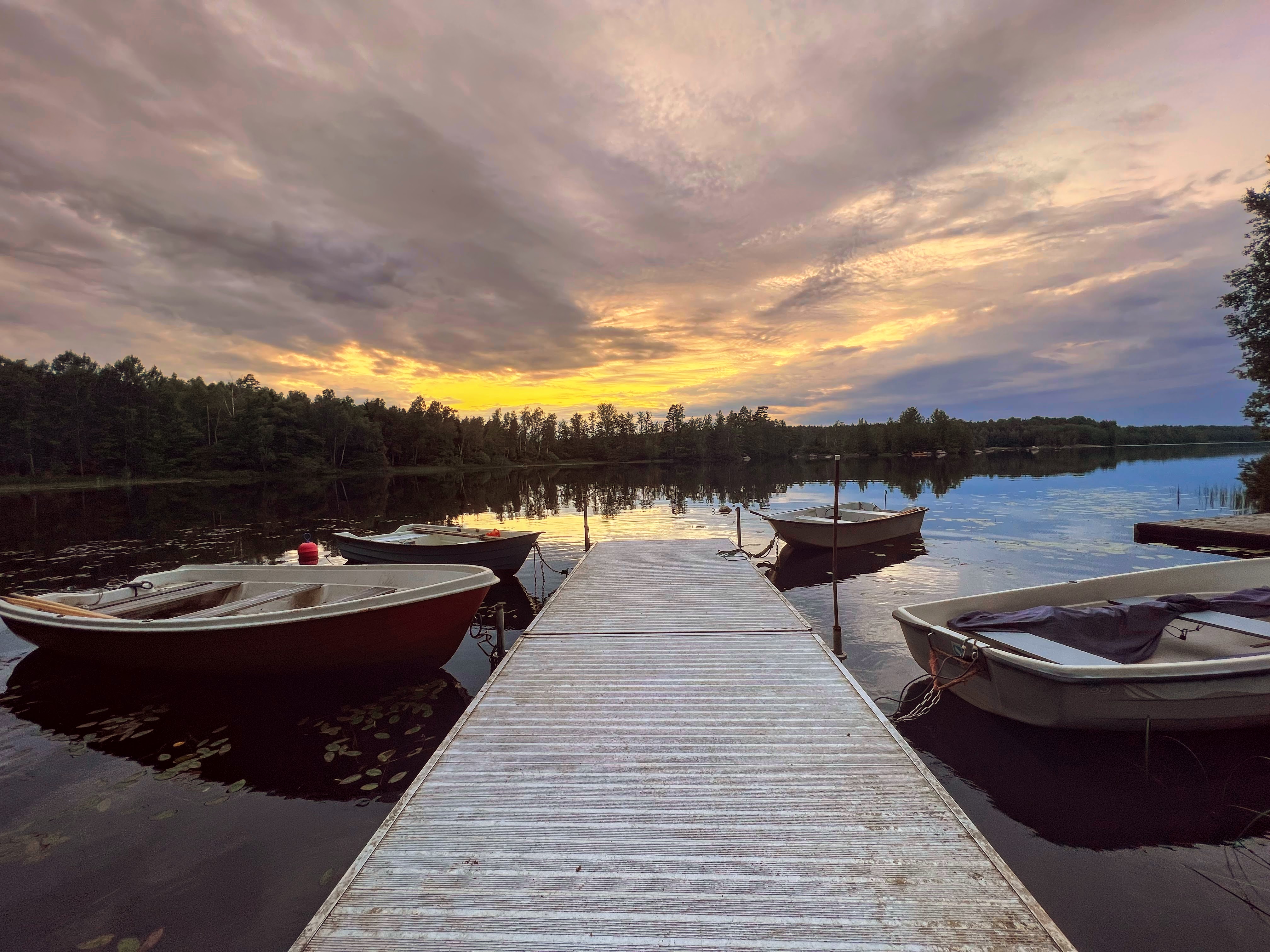 Surroundings near the cabin in woods and by the lake